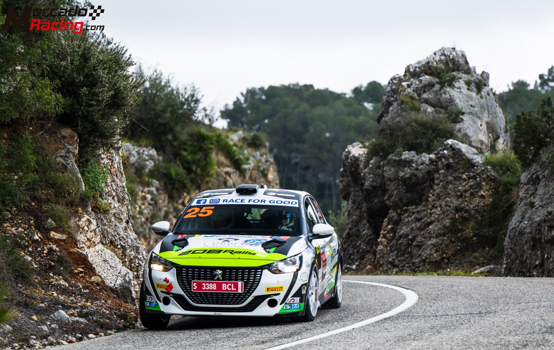 Peugeot 208 rally4 2026 