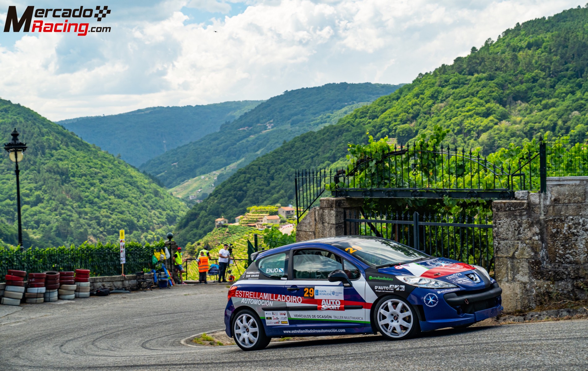 Peugeot 207 lw cup frances