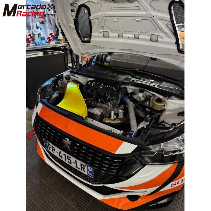 Peugeot 208 rally4