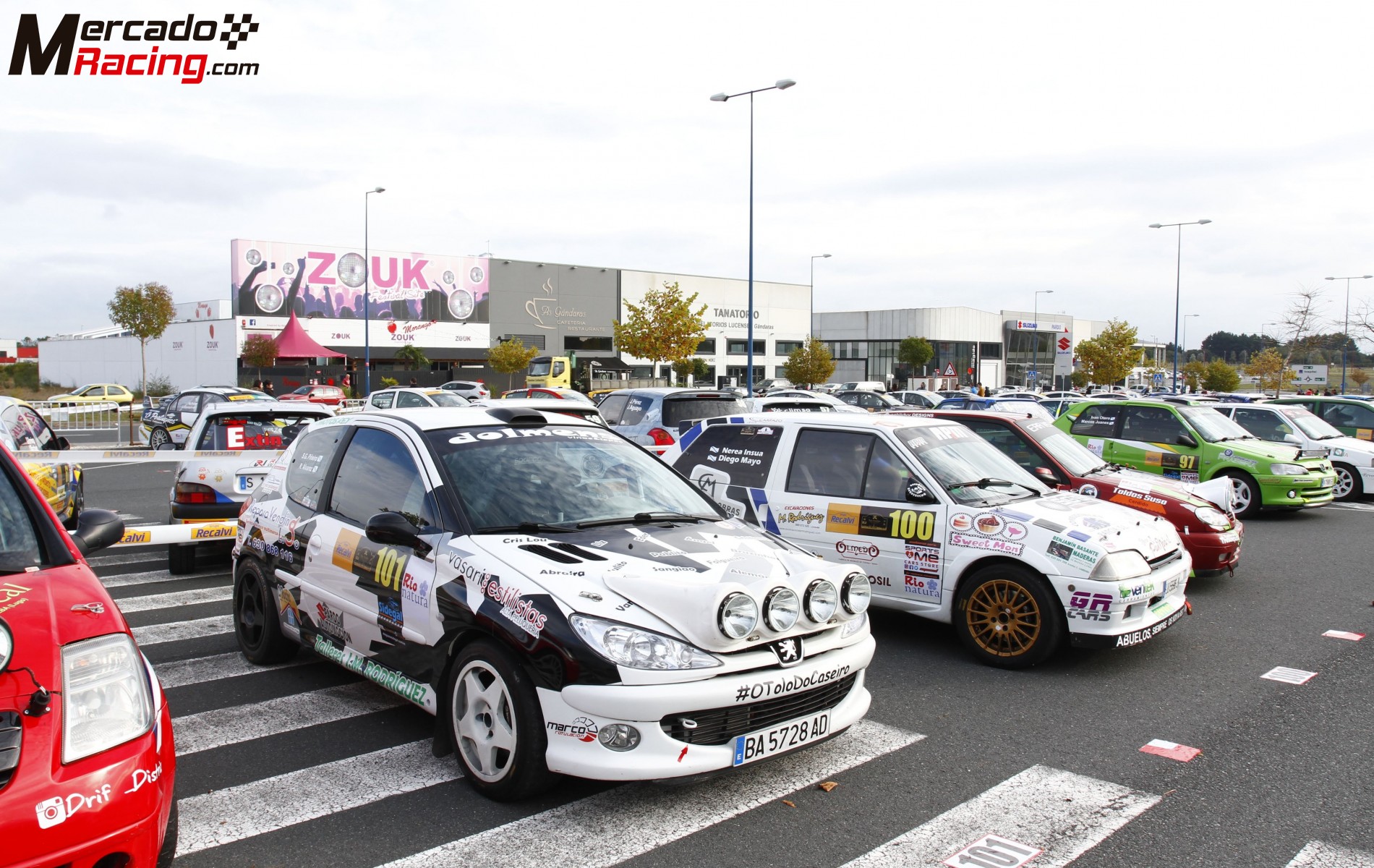 206 gti rally