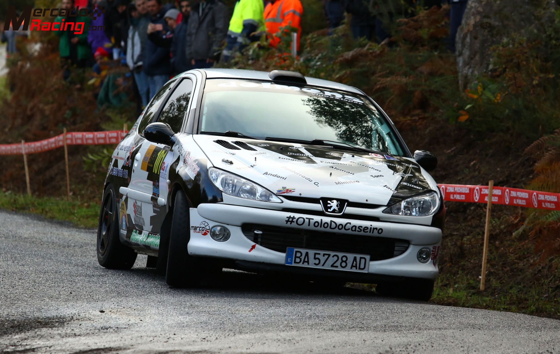 206 gti rally