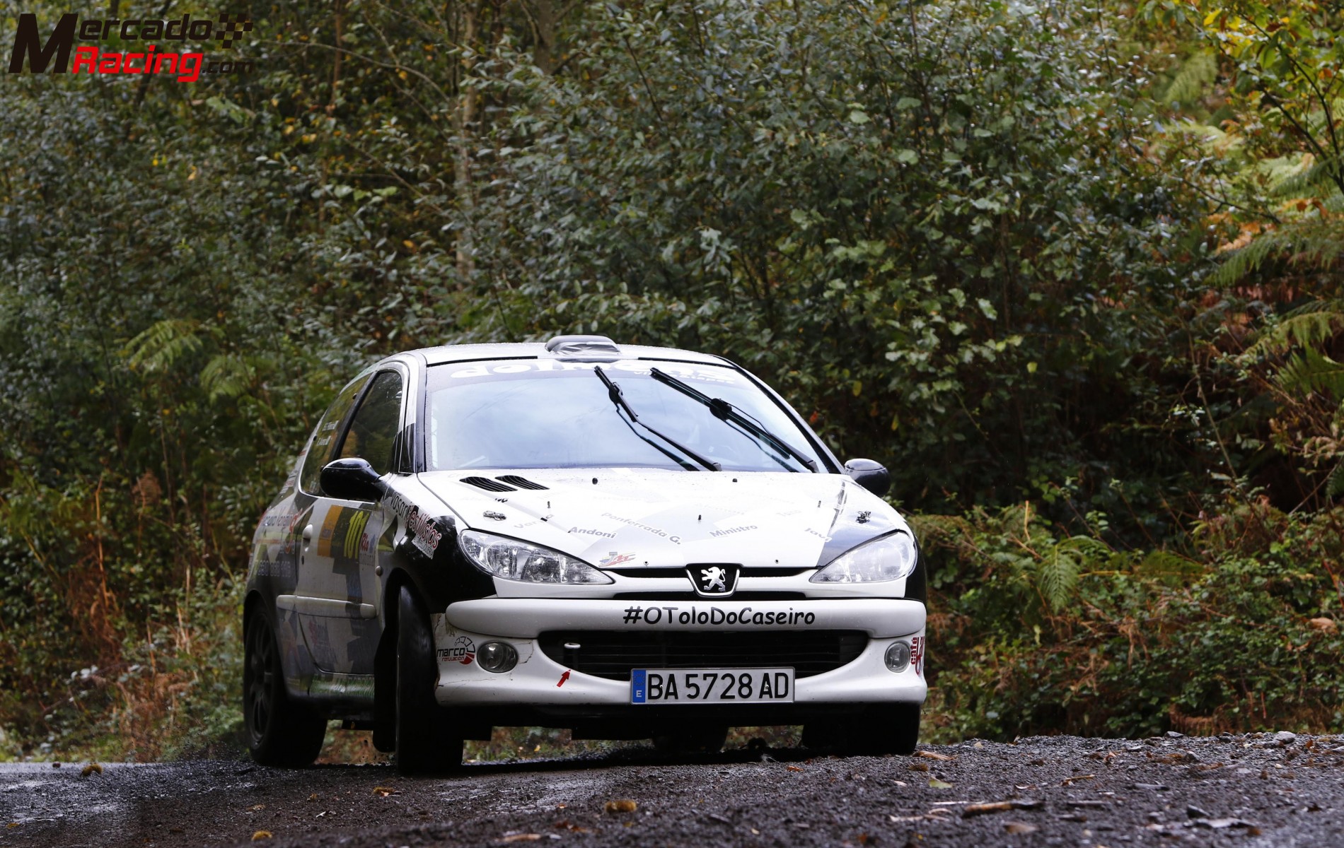 206 gti rally