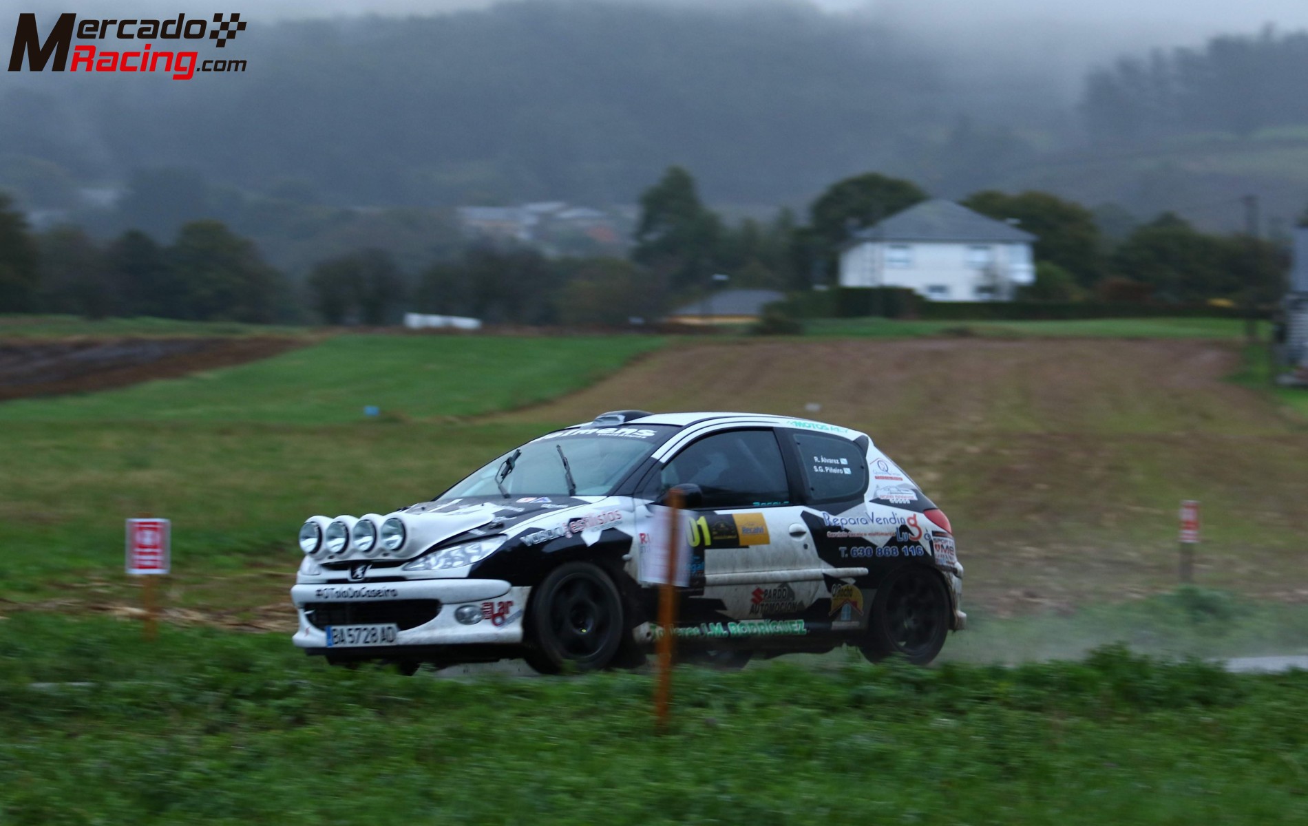 206 gti rally