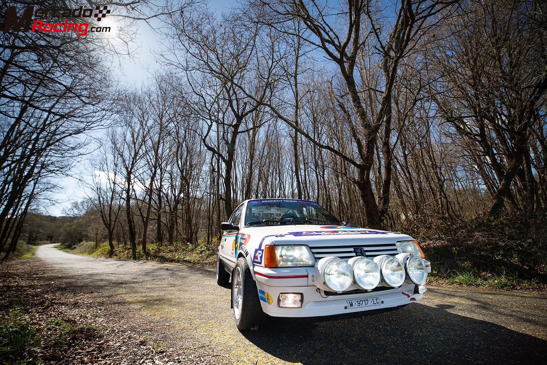 Peugeot 205 gti gr.a