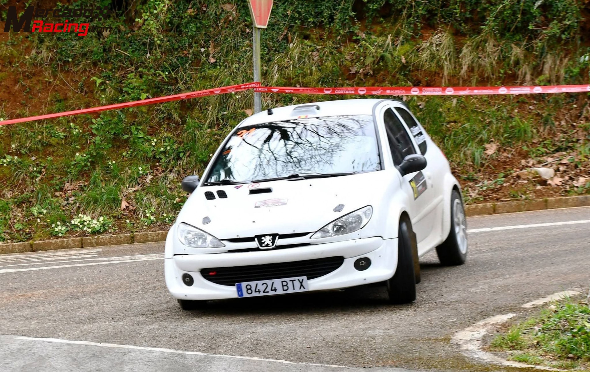 Peugeot 206 f2000