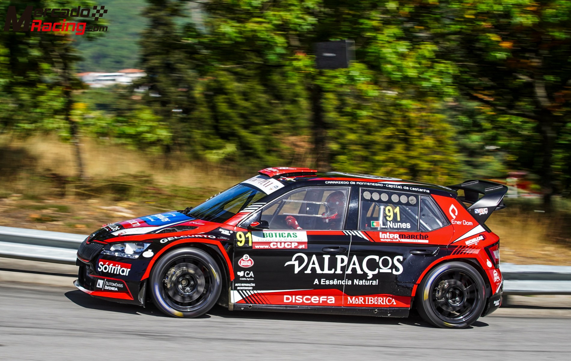 Skoda fabia r5+ - hillclimb portuguese champion