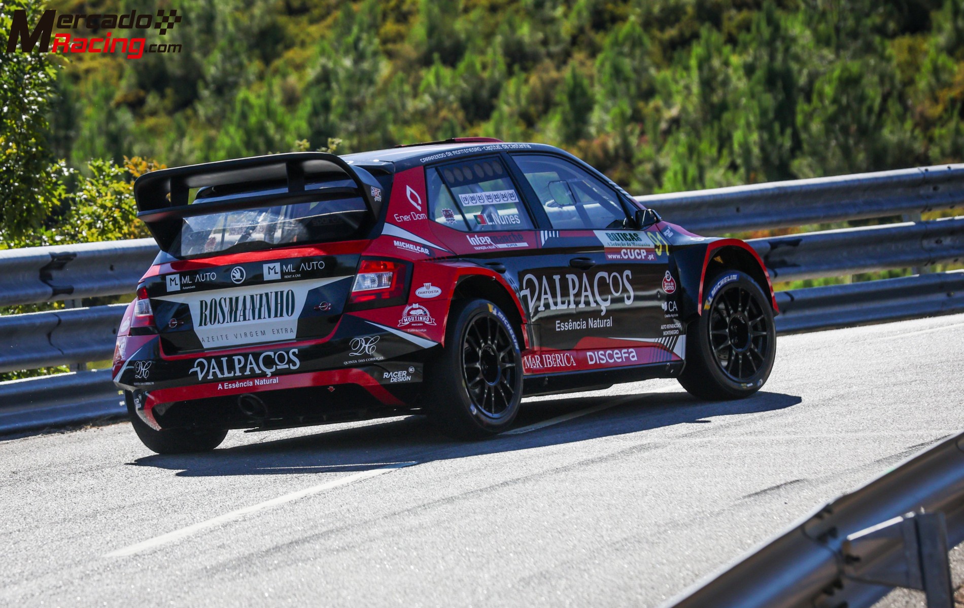 Skoda fabia r5+ - hillclimb portuguese champion