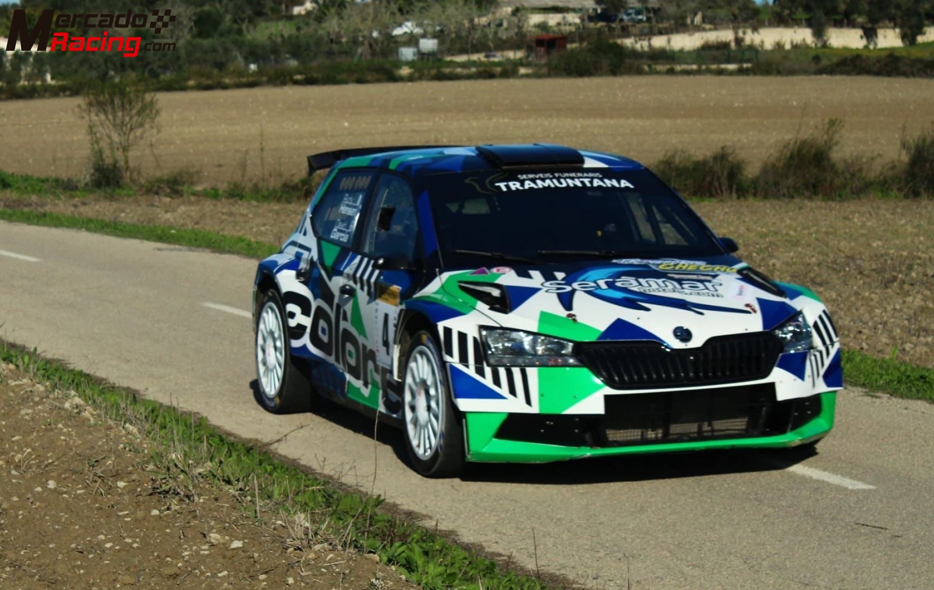 Skoda evo rally 2
