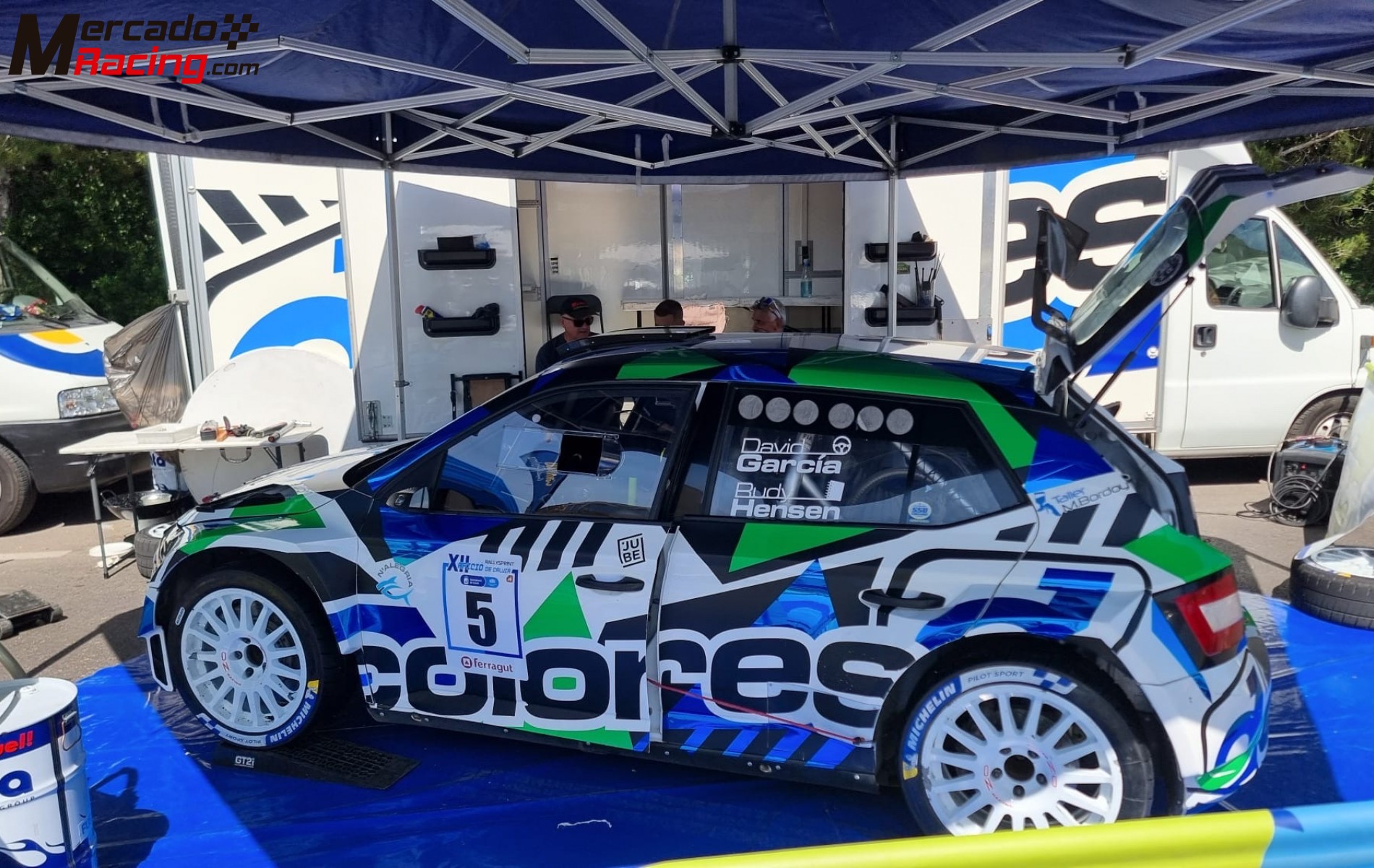 Skoda evo rally 2