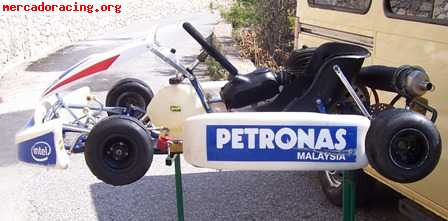 Karts economicos