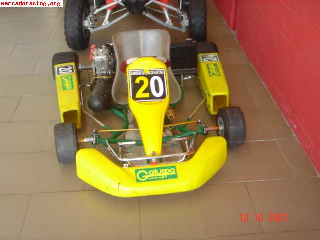 Se vende kart