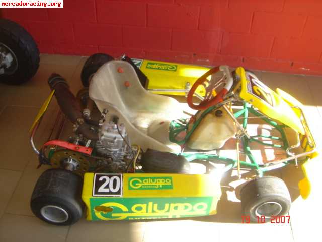 Se vende kart