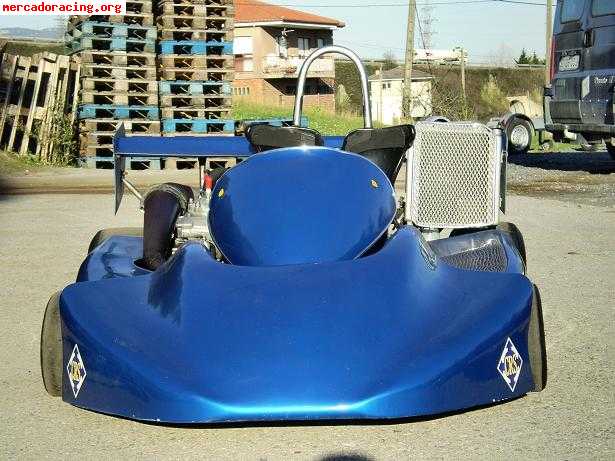 Se vende kart 250cc