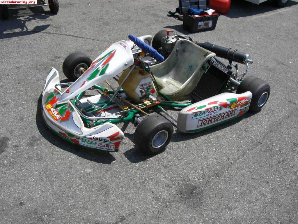 Tony kart 125 automatico 