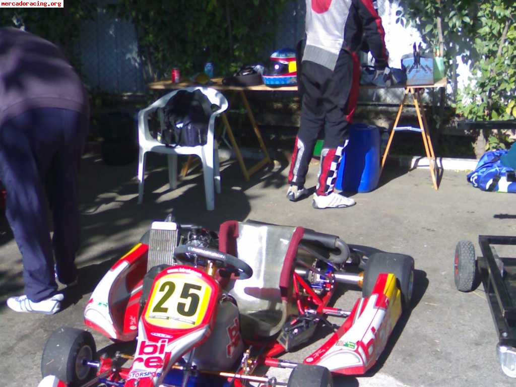Vendo birel r31 con motor rotax max fr