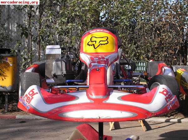 Vendo birel r31 con motor rotax max fr
