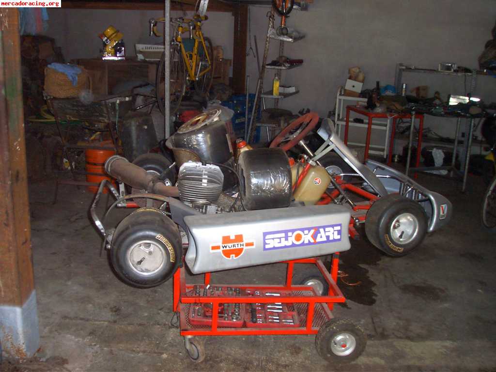 Kart rotax 100