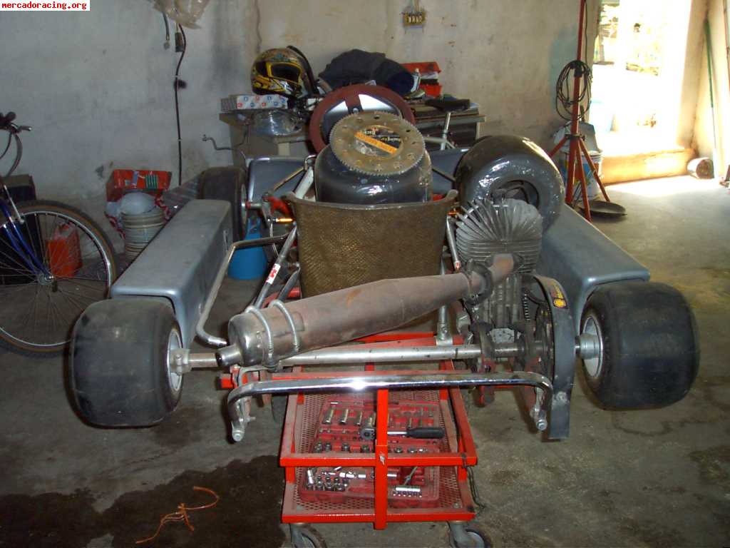 Kart rotax 100