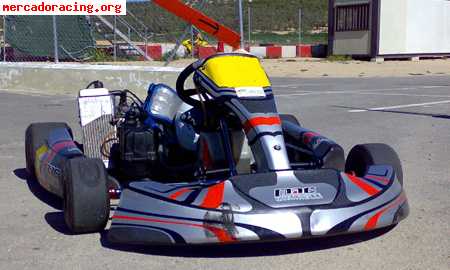 Kart de competicion rotax 125 c.c. equipo oficial