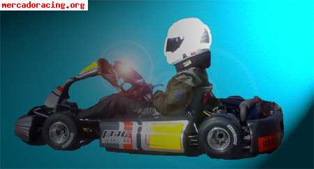 Kart de competicion rotax 125 c.c. equipo oficial