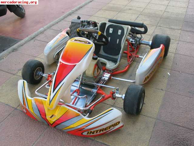 Vendo intrepid diciembre 2006 + rotax max