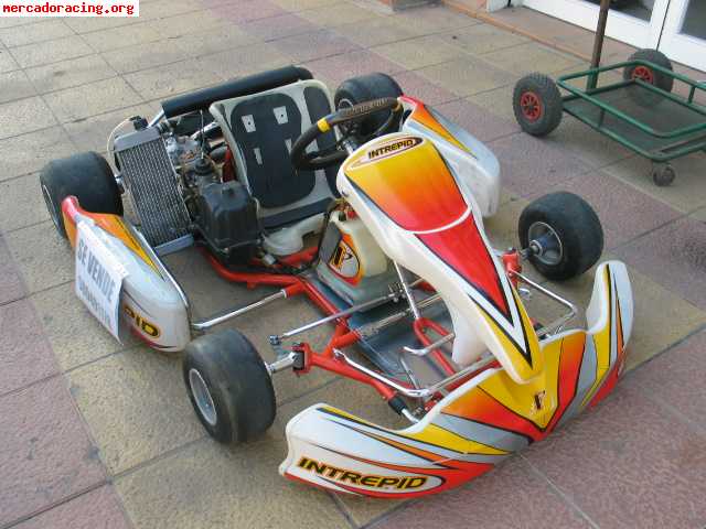 Vendo intrepid diciembre 2006 + rotax max