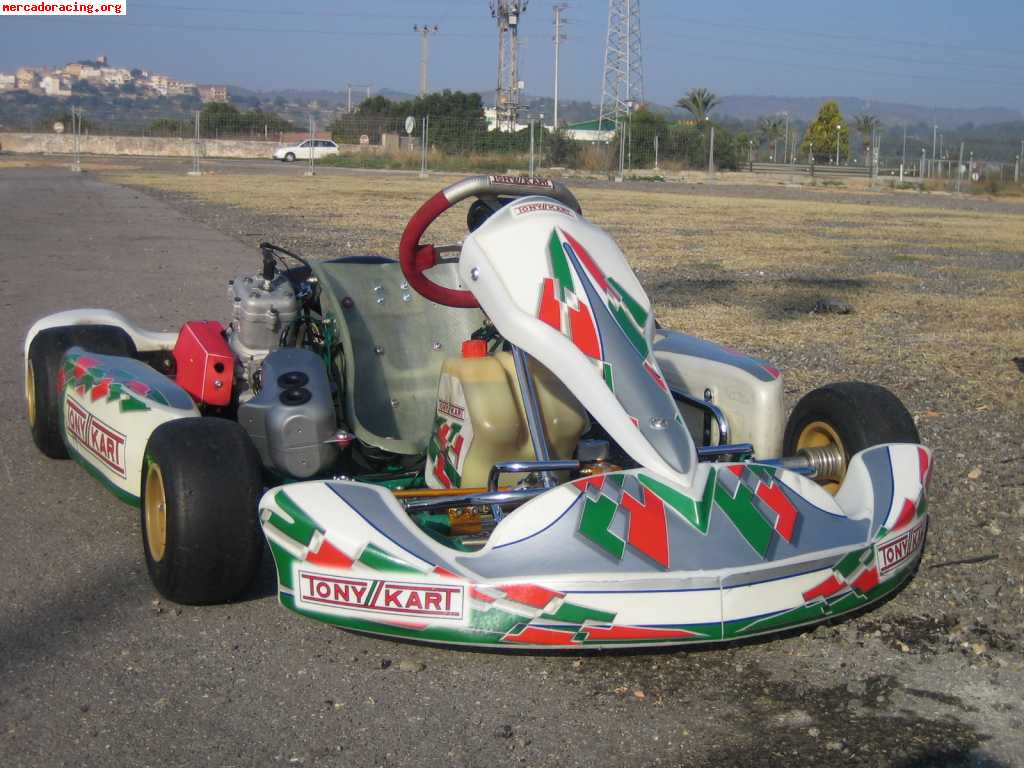 Tonny kart racer evs 125 automatco