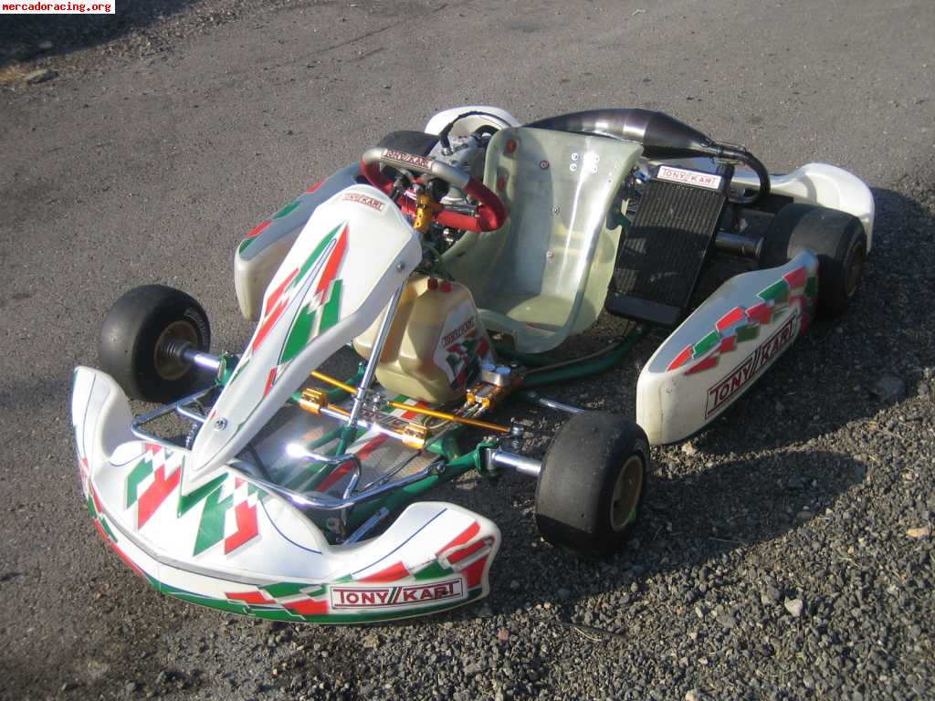 Tonny kart racer evs 125 automatco