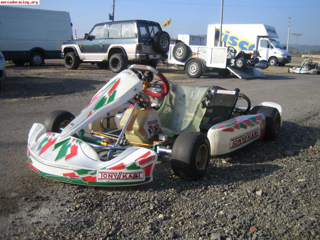 Tonny kart racer evs 125 automatco