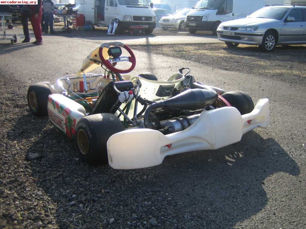 Tonny kart racer evs 125 automatco