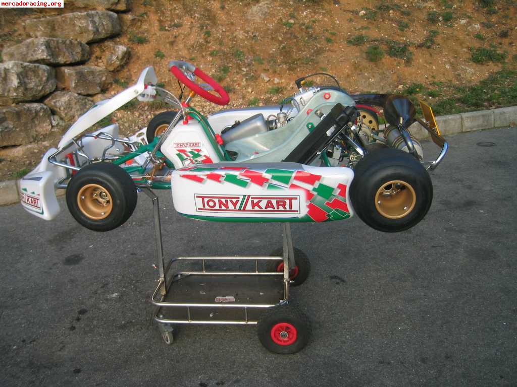 Se vende tony-kart racer evs 125 ( vortex-rok)  urge la vent