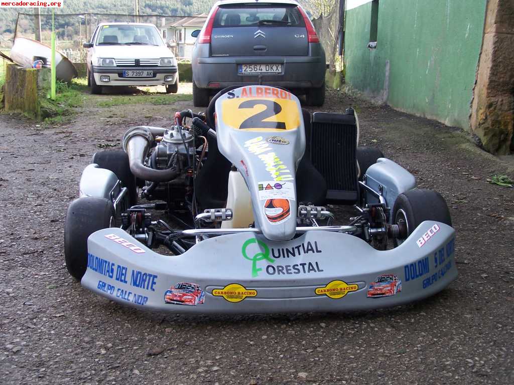 Se vende kart 250 monocilindrico