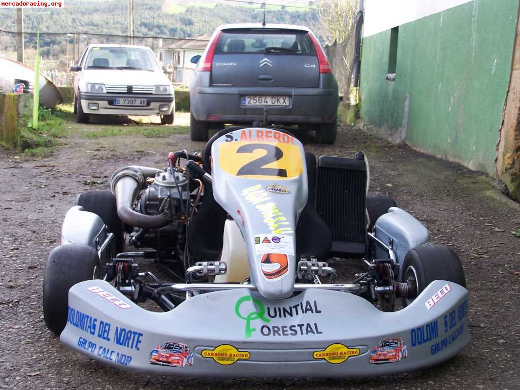 Se vende kart 250 monocilindrico