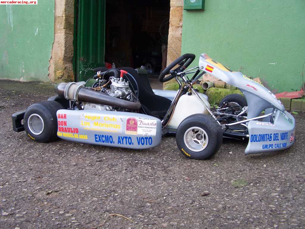 Se vende kart 250 monocilindrico