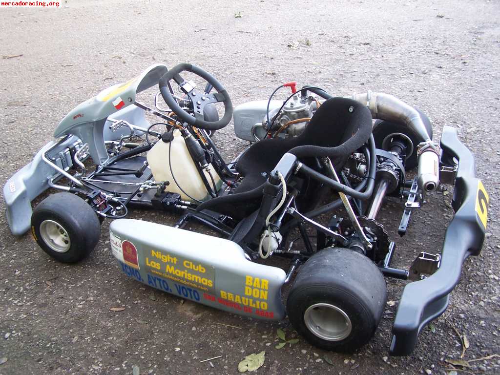 Se vende kart 250 monocilindrico