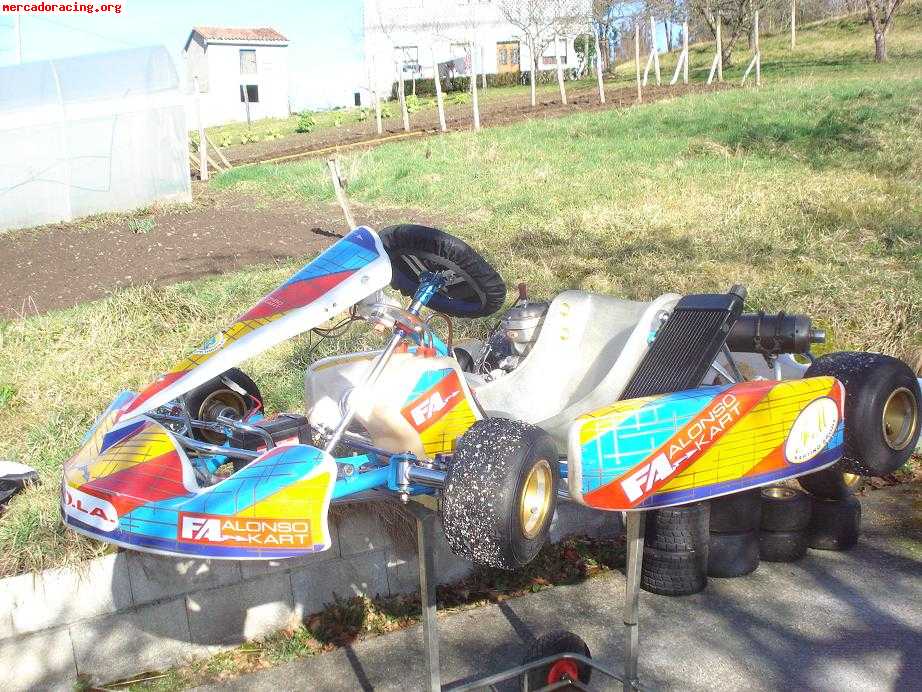 Kart fa con motor sonik 125 automático.