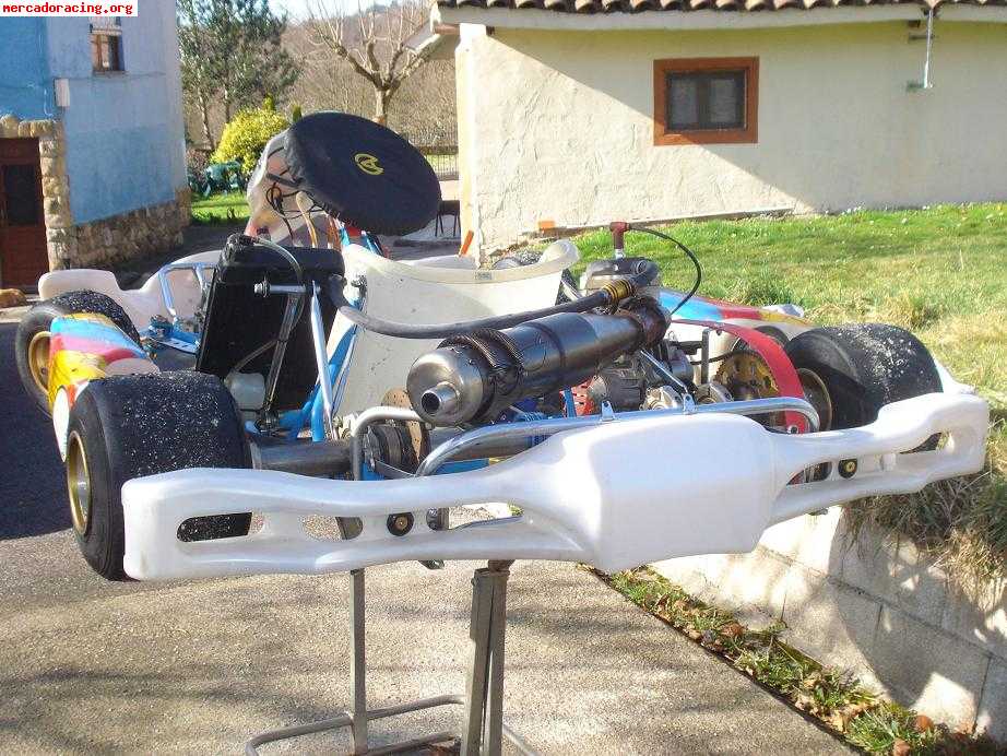 Kart fa con motor sonik 125 automático.