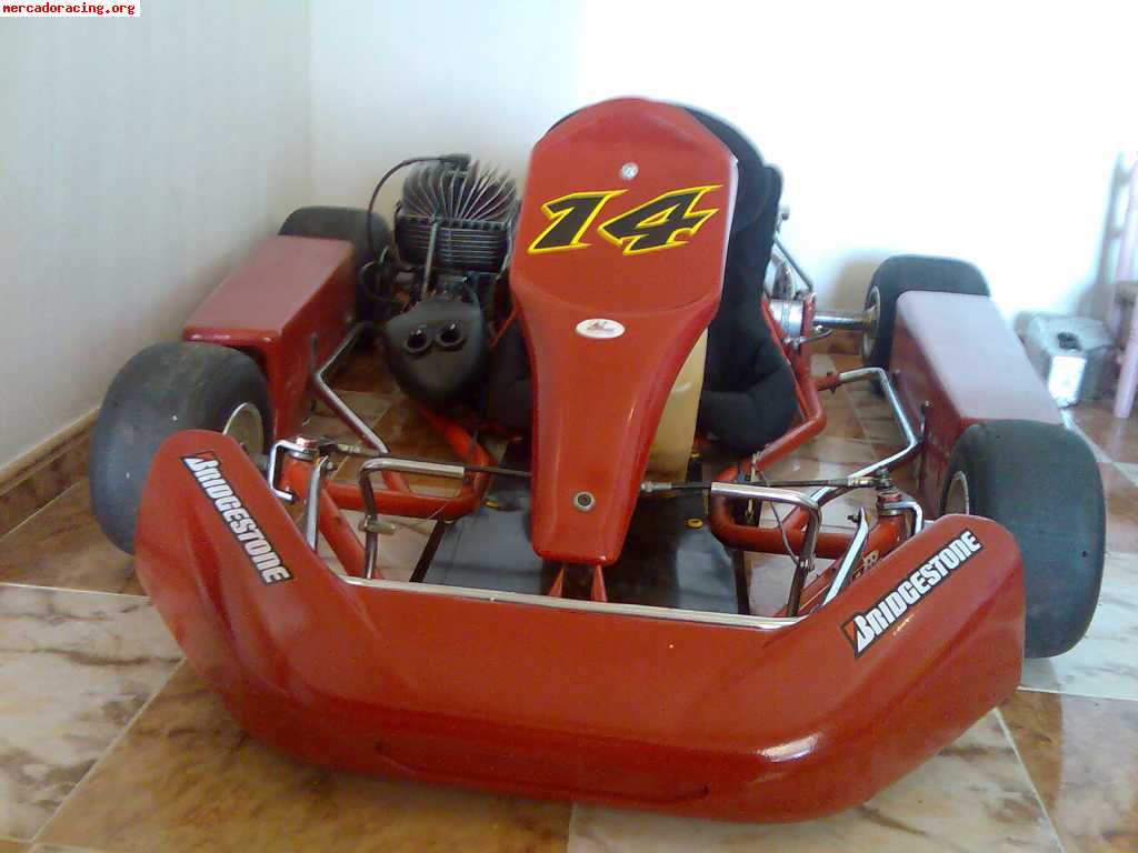 Vendo tecno kart rotax 100cc