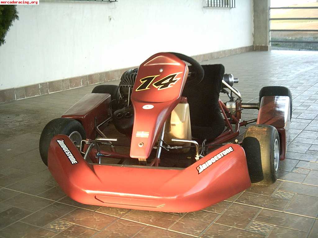 Vendo tecno kart rotax 100cc