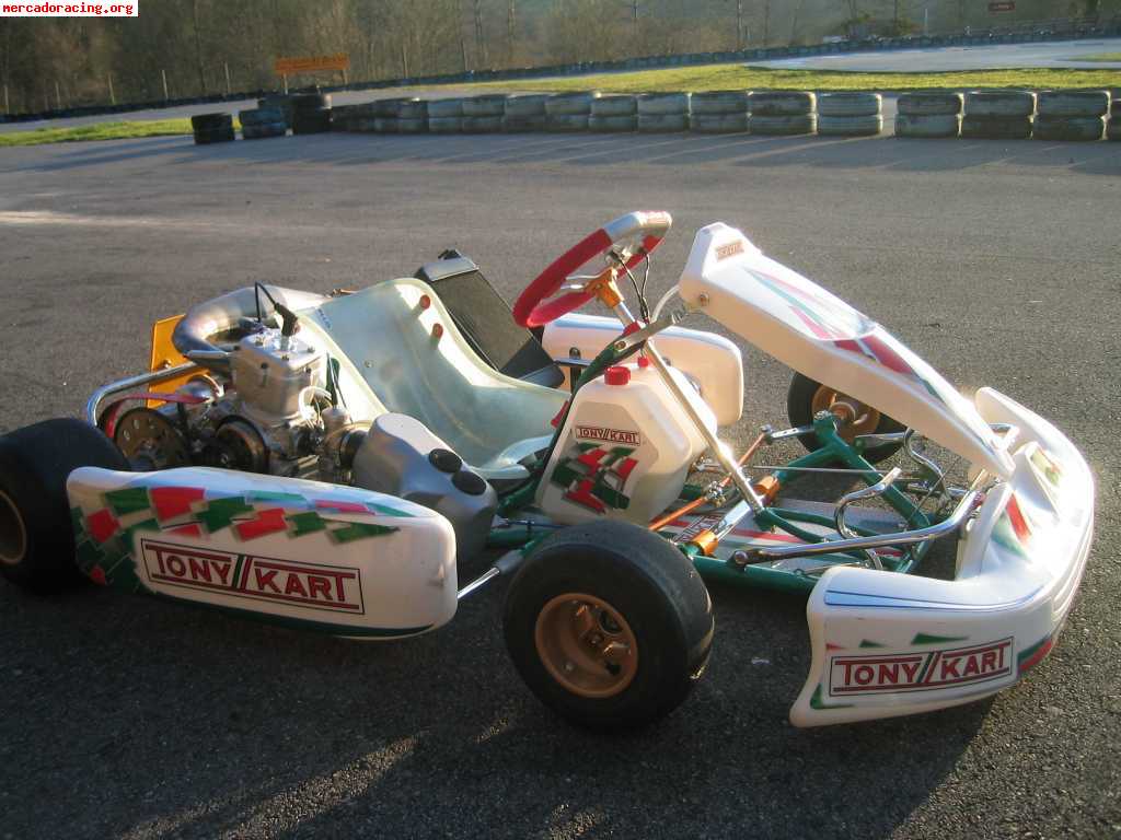 Se vende tony-kart racer evs 125 cc automatico (vortex rock)