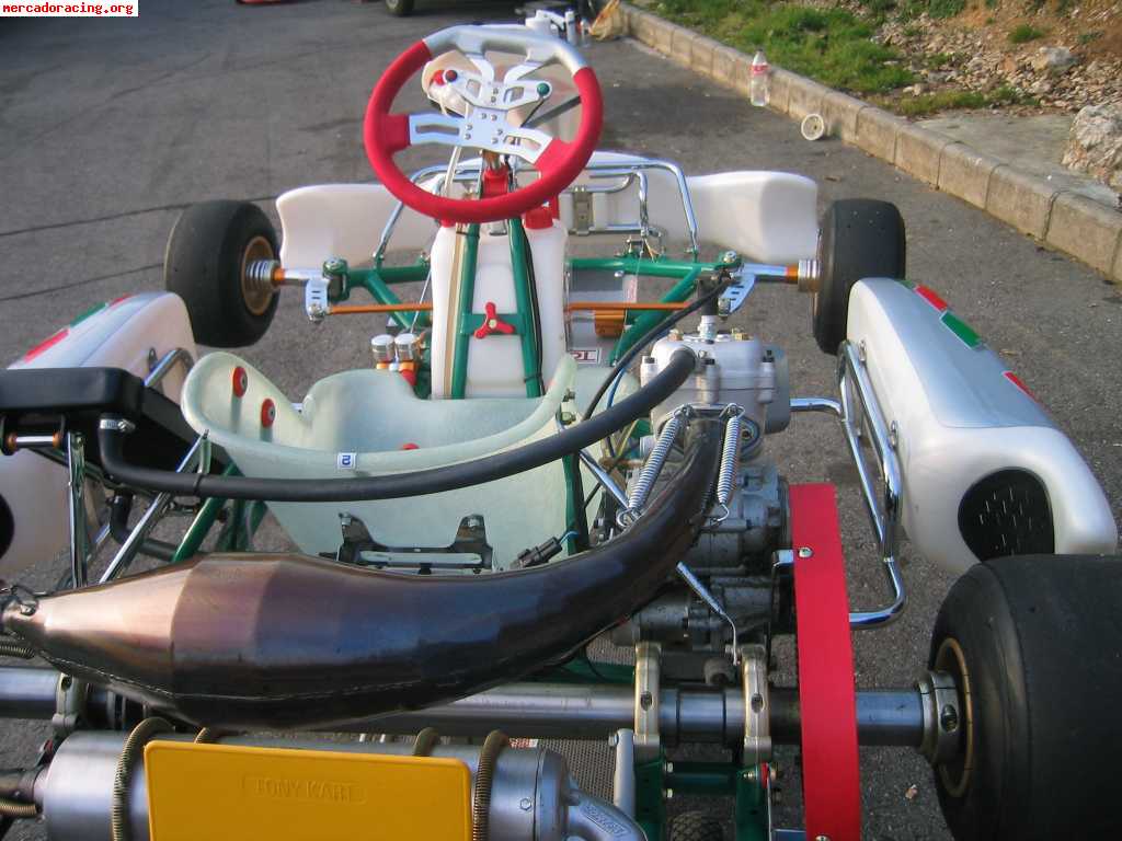 Se vende tony-kart racer evs 125 cc automatico (vortex rock)