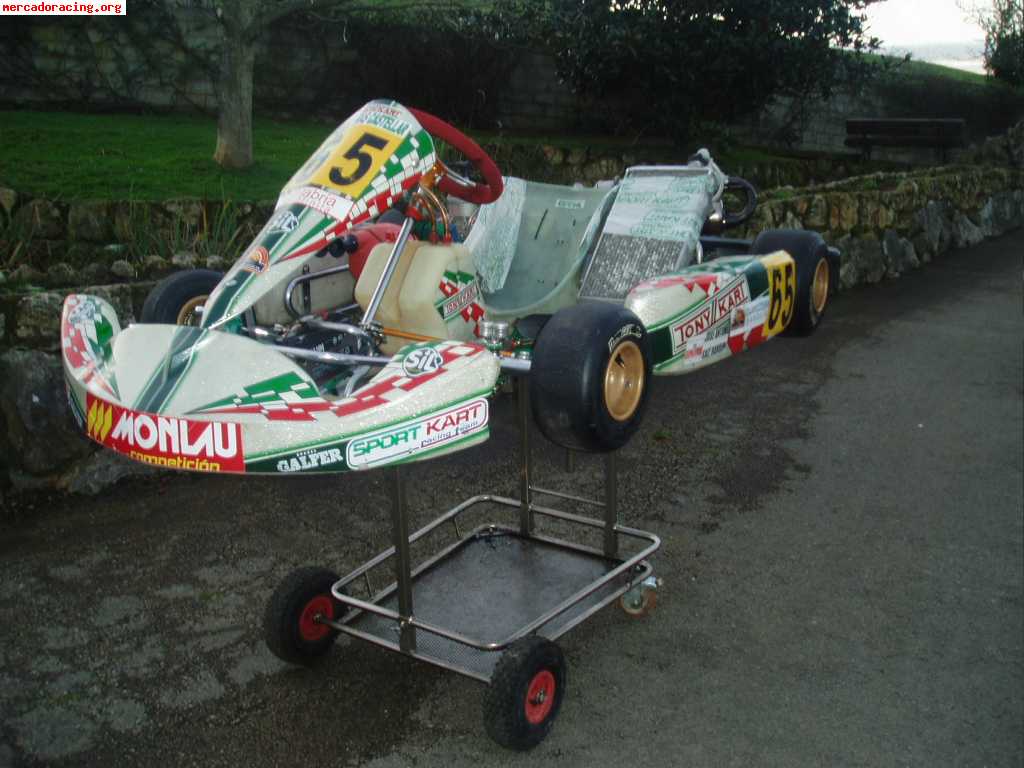 Vendo kart kf3 de tonykart preparado para el campeonato de e