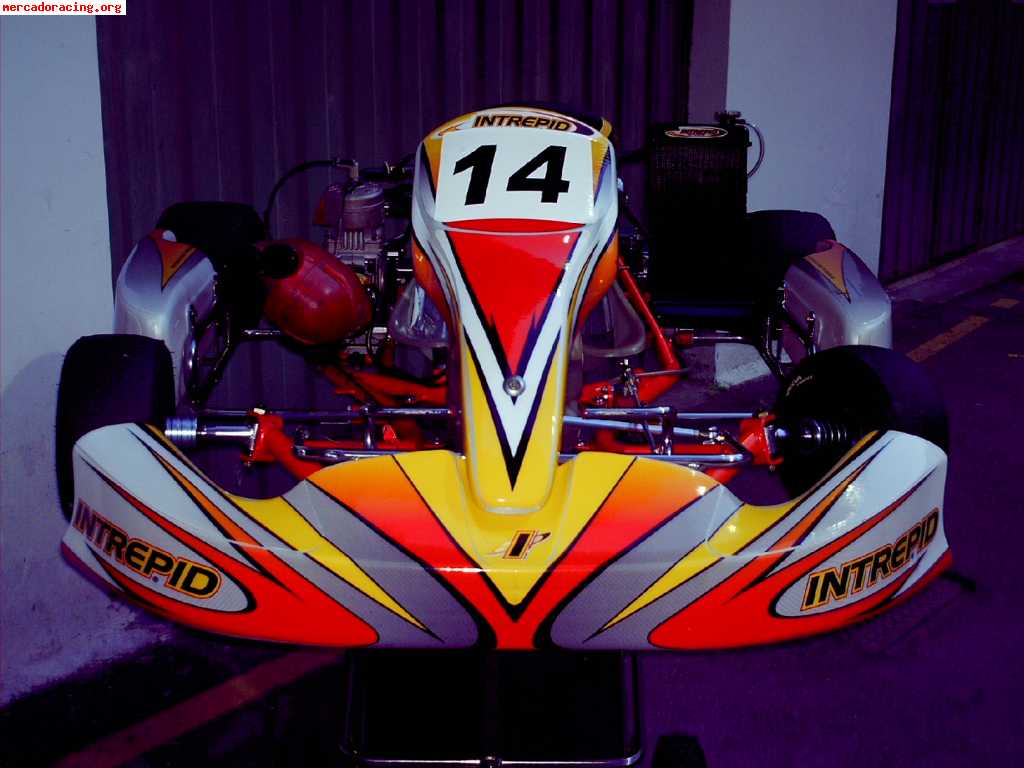 Vendo kartintrepid 2006 impecable y kart intrepid 2001