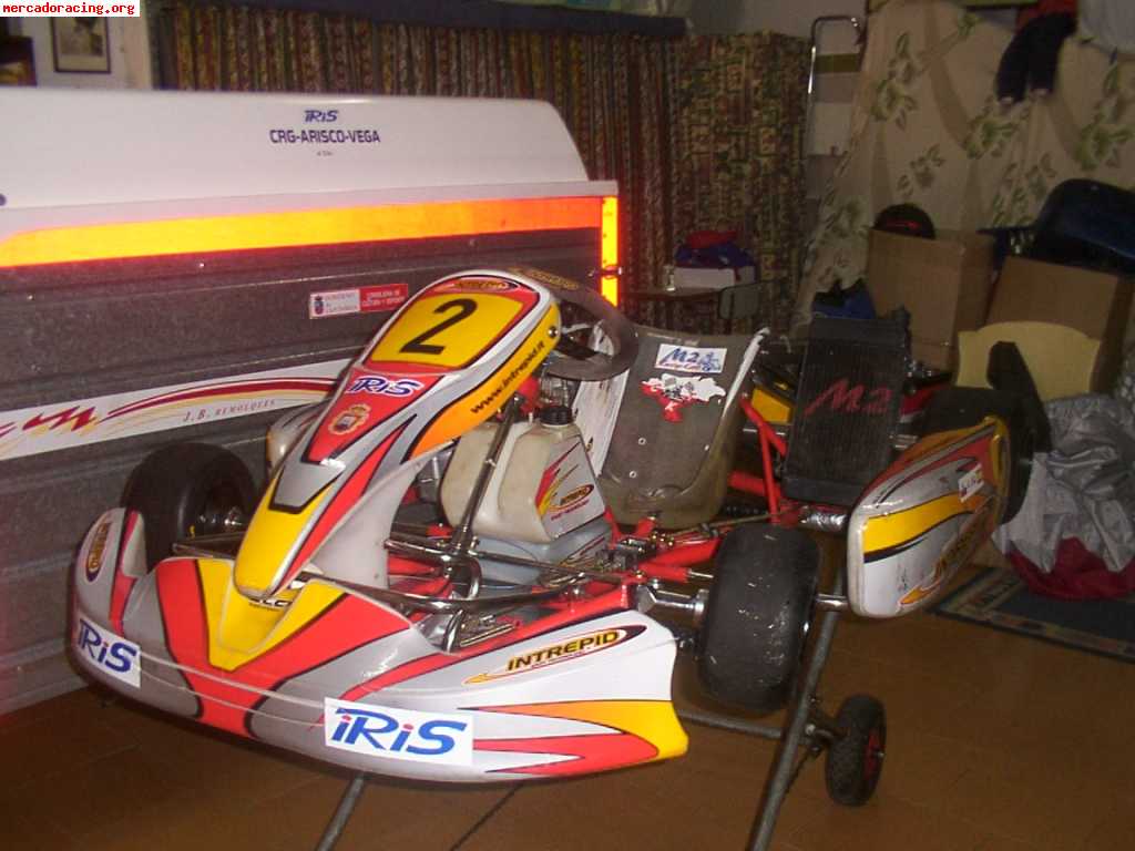 Vendo kartintrepid 2006 impecable y kart intrepid 2001