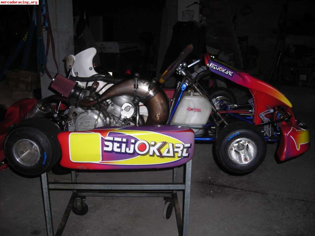 Vendo kart ea racing icc con motor ktm sx 250 2t con 60 cv