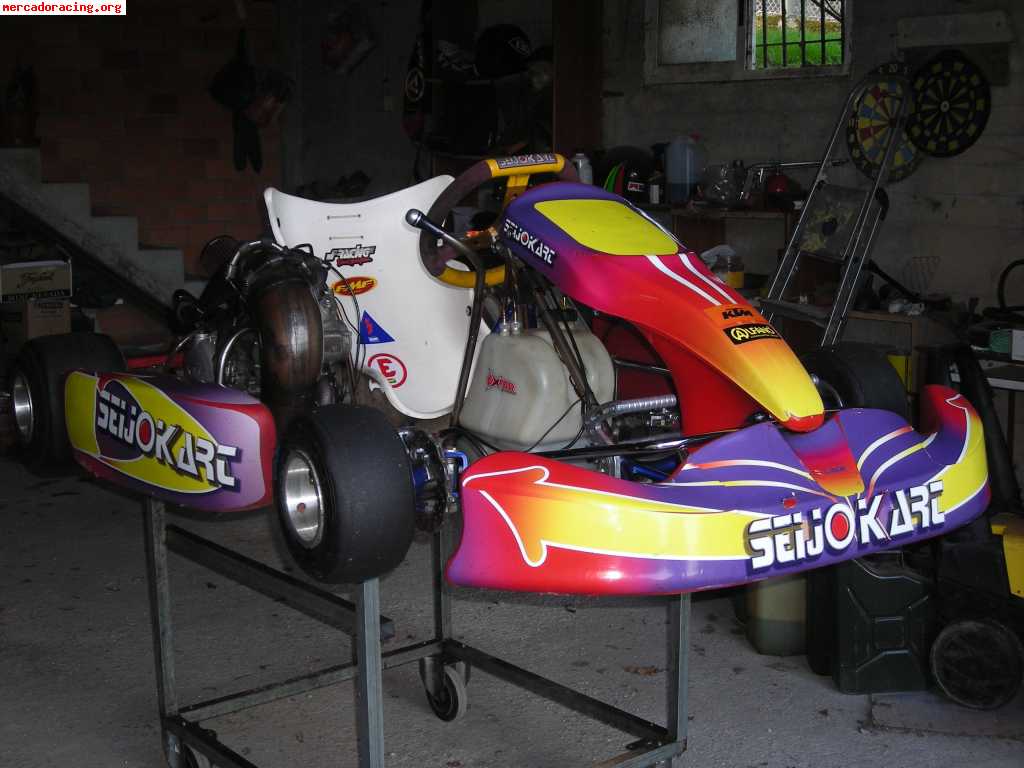 Vendo kart ea racing icc con motor ktm sx 250 2t con 60 cv