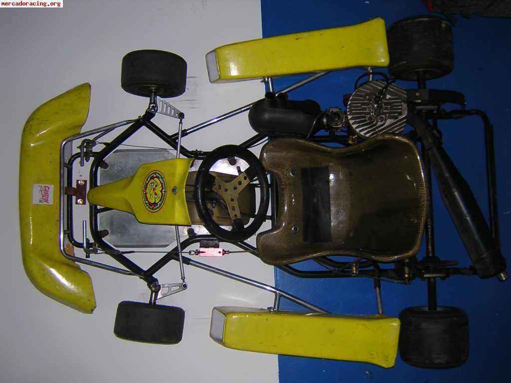 Vendo kart ideal principiantes  600euros