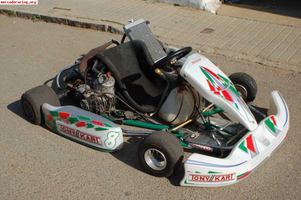 Vendo kart 125 con marchas