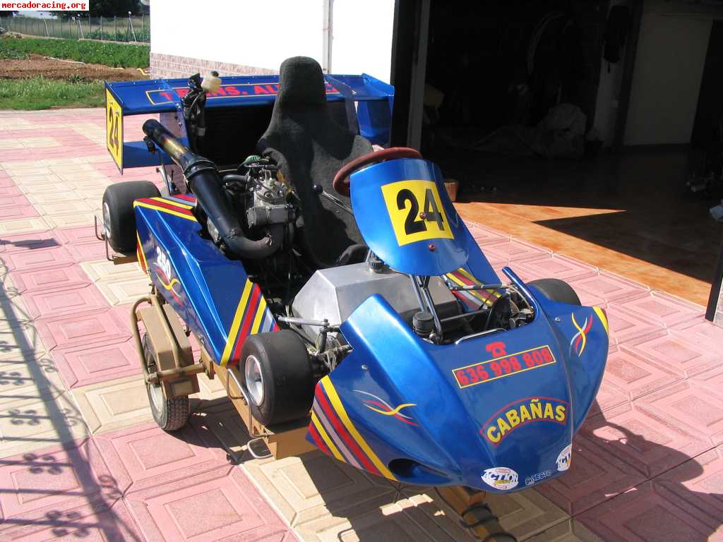 Vendo superkart 250cc