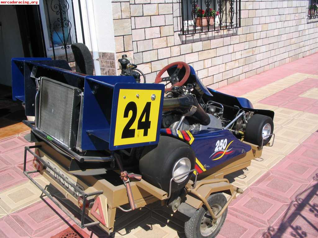 Vendo superkart 250cc